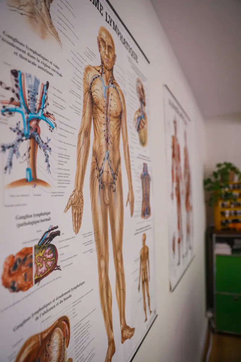 Consultation de naturopathie fonctionnelle au cabinet Edlothia à Peseux